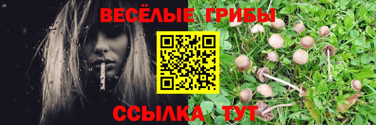 МЕТАДОН  Гашиш  Кодеин  Топки  Вход с VPN  Канабис  МЕФ кристаллы  Наркошоп  Конопля  Экстази  COCAIN 