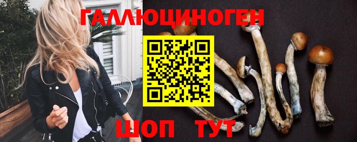 Топки  где можно купить наркотик  Псилоцибиновые грибы Psilocybine cubensis  Вход с VPN  Галлюциногенные грибы мухоморы 